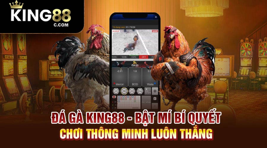 Cách Thức Tham Gia Đá Gà Trực Tiếp Tại King88